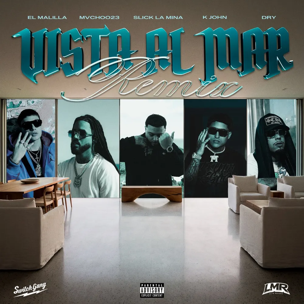 Portada de Vista al Mar (Remix)